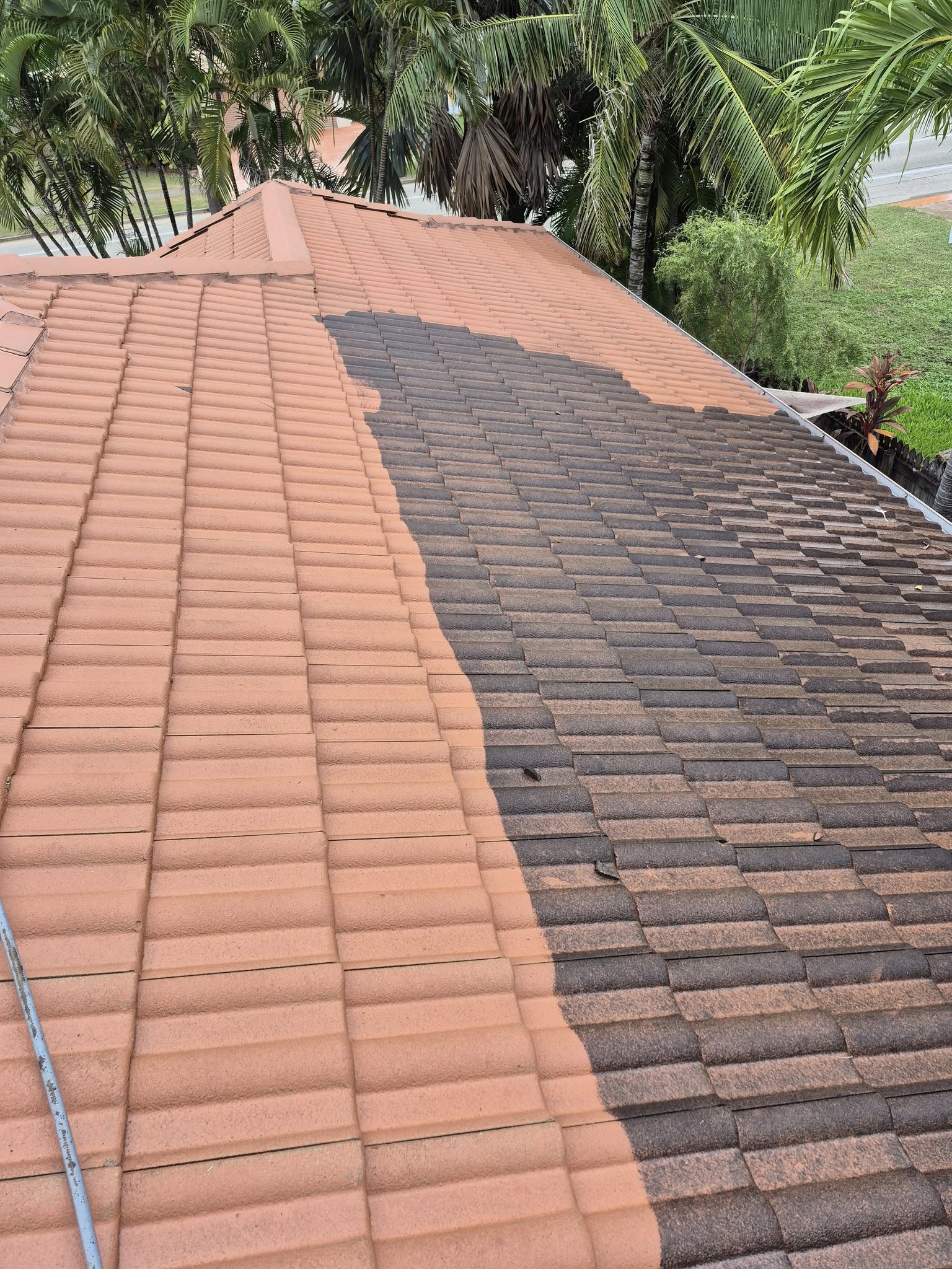 Roof Cleaning